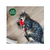 Pamuklu, Dayanıklı ve Doğa Dostu Kedi Oyuncağı (Baston Şeker)