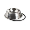 Paslanmaz Çelik Kedi ve Köpek Mama Kabı Kaymaz Tabanlı (22 cm)