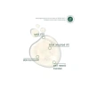 Peeling Etkili AHA+BHA Serum - 30 ml