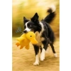 Peluş Ördek Şekilli Sesli Köpek Oyuncağı (Sarı)