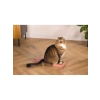 Pembe 45 cm Kedi Karton Tırmalama