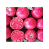 Pembe Domates Tohumu - Çoklu Seçenek - 100 Adet