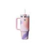 Pipetli Termos Bardak, 0.89 Litre Kapasite, Pembe Desenli