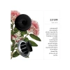 Profesyonel Araba Klima Kokusu - 90 Gün Etkili Set (3lü)