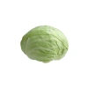 Profesyonel Beyaz Lahana Tohumu - 5 Gram