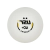 Profesyonel Masa Tenisi Topu, ITTF Uyumlu 10lu Paket