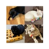 Renkli EVA Sünger Kedi ve Köpek Oyun Topu Seti - 4 Adet