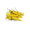 Sarı Süs Biber Tohumu - 3 Gram