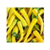 Sarı Süs Biber Tohumu - 3 Gram