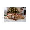 Sesli Yılbaşı Temalı Kedi ve Köpek Oyuncağı