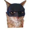 Sevimli Kedi Maskesi, Eğlenceli Aksesuar