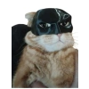 Sevimli Kedi Maskesi, Eğlenceli Aksesuar