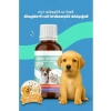 Sıvı Probiyotik Kedi ve Köpek Bağışıklık Güçlendirici - 100 ml