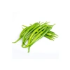 Sivri Tatlı Biber Çorbacı Tohumu - Çoklu Kullanım - 5 Gram