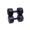 Siyah Dambıl Seti - 2 Adet X 8 kg