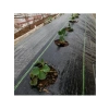 Siyah Renk Jüt Taban Yabani Ot Engelleme Örtüsü - 1 M x 3 M