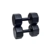 Siyah Spor Dambıl Seti (7 kg x 2 Adet)