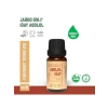 Soğuk Sıkım %100 Doğal Jojoba Yağı 10 ml