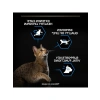 Somonlu Kuru Kedi Maması, 3 kg - Yaşlı Kediler İçin