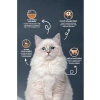 Somonlu ve Hamsili Yetişkin Kedi Maması 2 Kg
