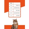 Tahılsız Biftekli Yetişkin Kedi Konservesi, 400 gr