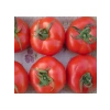 Tane Salkım Domates Tohumu - 2274-3 Gram