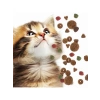 Tavuklu Anne ve Yavru Kedi Maması, 2 kg