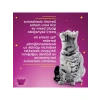 Tavuklu Yaş Kedi Maması, 85 g Tekli Paket