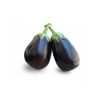 Topan Patlıcan Tohumu - 5 Gram