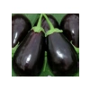 Topan Patlıcan Tohumu - 5 Gram