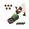 Topraksız Kedi Çimi Kabı - 5 Paket Çim Tohumlu Hidroponik Set