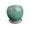 Turkuaz Şekilli 15 Cm Tabaklı Toprak Saksı