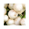 Turp Beyaz Kız Tohumu - 10 Gram