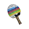 Unisex Masa Tenisi Raket Seti - Çok Renkli