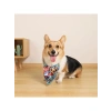 Urban Style Freestyle Bandana Kolye, L Boy
