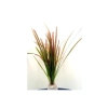 Vallisneria Spiralis Red Saksı Canlı Bitkisi - Su Altı Düzeneği için İdeal