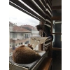 Vantuzlu Ahşap Kedi Yatağı - Büyük Boy