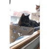 Vantuzlu Cama Asılan Kedi Yatağı