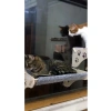 Vantuzlu Cama Asılan Kedi Yatağı