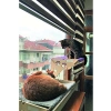 Vantuzlu Cama Asılan Kedi Yatağı