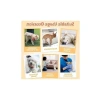 X-LARGE Köpek ve Kedi Tuvalet Bezi - 12 Adet