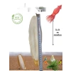 XL Kalamar Kemiği - İri Boy (15-20 cm Aralığında)