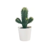 Yapay Kaktüs Bitkisi, 6 cm, İç/Dış Mekan Kullanımı
