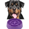 Yavaş Mama Kabı - Kedi ve Köpekler İçin - 375 ml