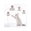 Yavru Kedi için Tavuk Etli Yaş Mama - 80 Gr x 24 Adet
