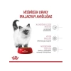 Yavru Kedi Kuru Maması, 400 g (2 Adet)