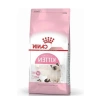 Yavru Kediler İçin Besleyici Mama - 10 Kg