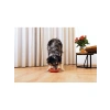 Yavru Köpek Mama Yeme Oyuncağı, Silikon, Kırmızı, 19 cm