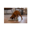 Yavru Köpek Oyuncağı, Çift Düğümlü Diş İpi, Peluş, Mavi