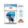 Yavru Köpekler İçin Besleyici Yaş Mama 140 gr x 10 Adet